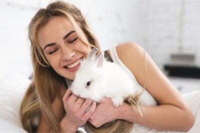 Can Rabbits Sense Human Emotions