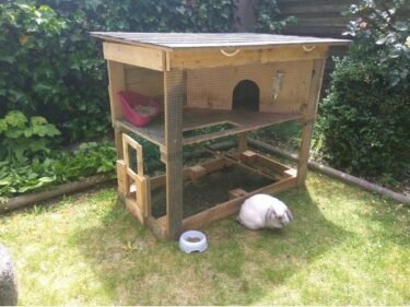 7 Essential Supplies for a Rabbit Enclosure