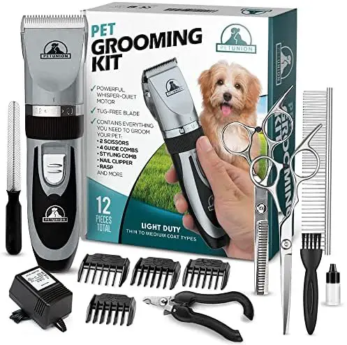 The Complete Guide to Grooming Your Rabbit (Brushing, Nail Clipping, Ear Cleaning, Etc.)